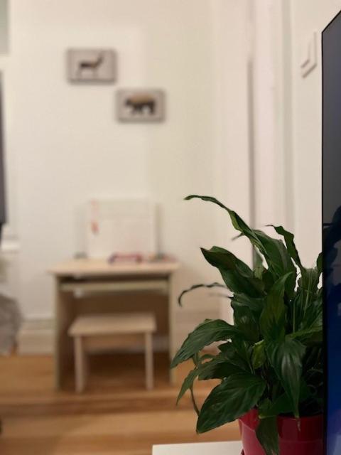 Cosy Rent-Strasbourg Gare 1-Wifi Apartment Bagian luar foto